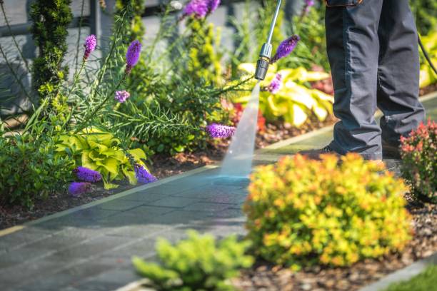 Best Parking Lot and Garage Cleaning  in Pace, FL